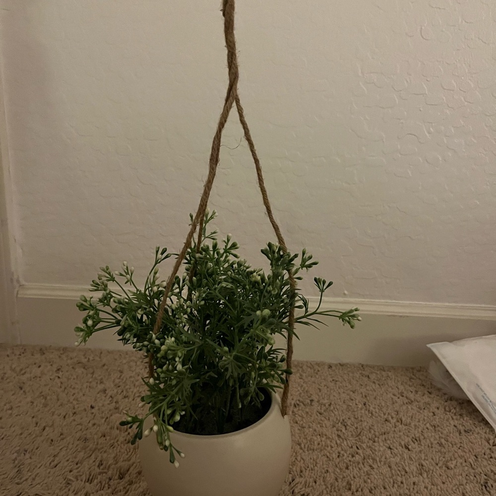 fake hanging plant